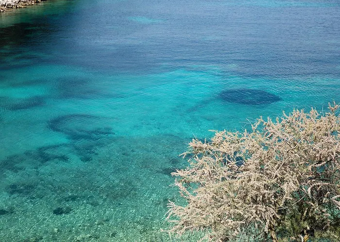 Hotel Little Green Bay Hvar Town