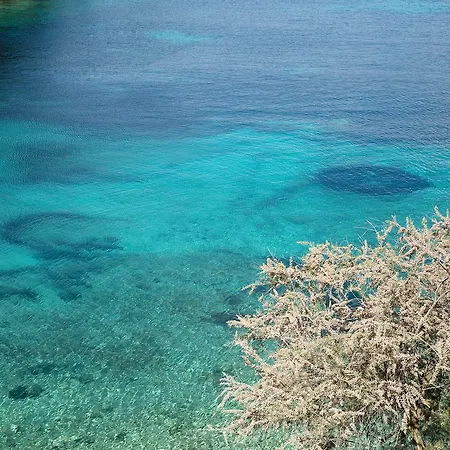 Hotell Little Green Bay Hvar Town